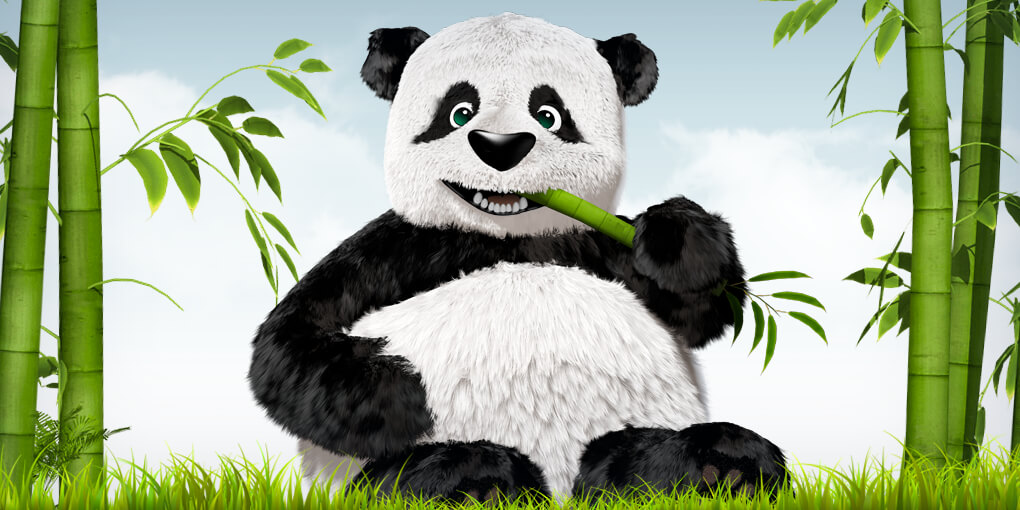 wwwwwwwwww